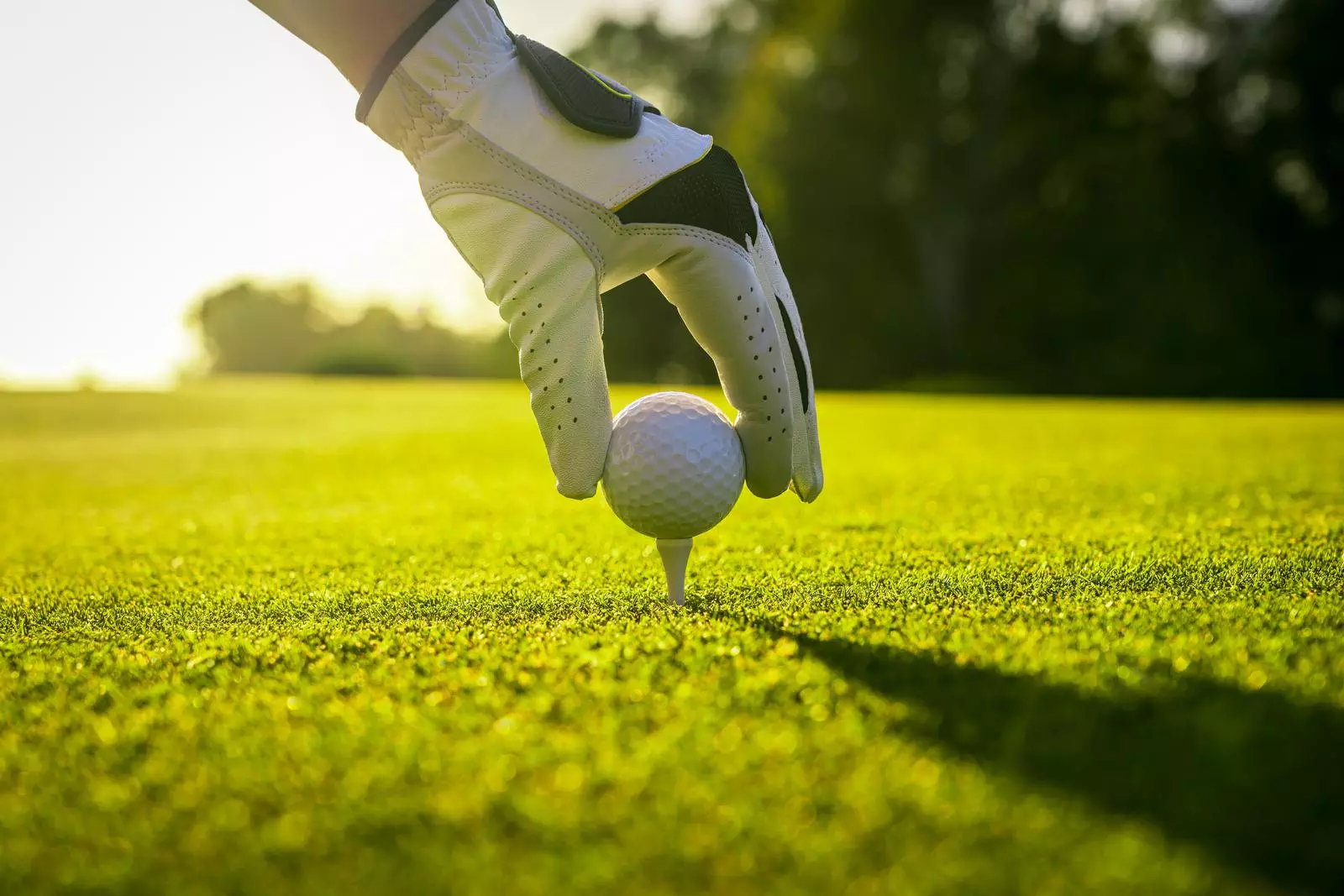 Golfen im Einklang mit der Natur: Entdecken Sie ALEA GOLF Bad Orb